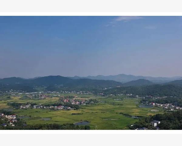 大人胃疼吃什么食物最养胃