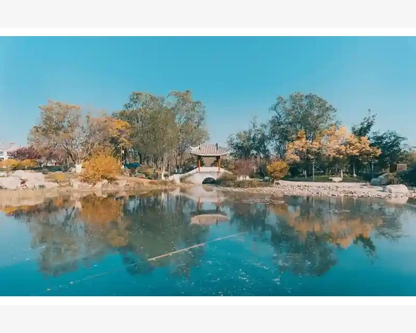 气血不足的人该吃什么？中医食疗让你重焕活力！
