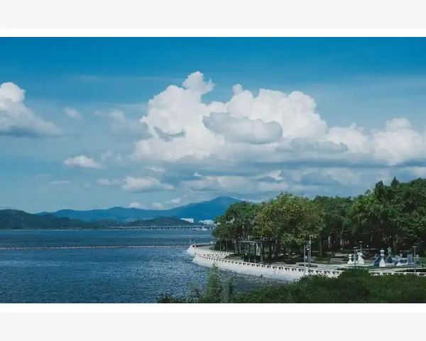 生姜的神奇功效：一招驱寒，温暖全身